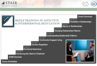 Skills Training in Affective and Interpersonal Regulation (STAIR)