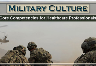 Military Culture: Core Competencies for Healthcare Professionals