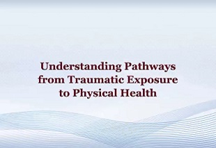 Understanding Pathways from Traumatic Exposure to Physical Health