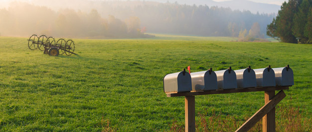Row of mailboxes in front of a green field