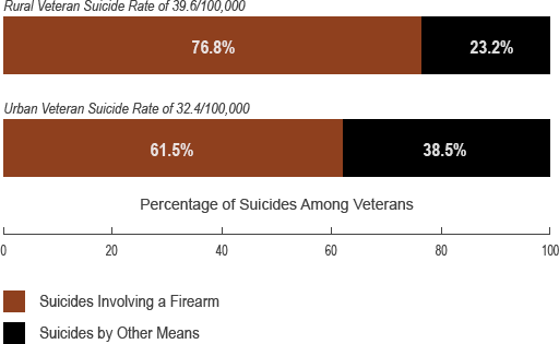 Diagram comparing rural and urban Veteran suicide rates