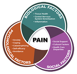 Pain Chart